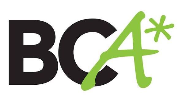 College of BCA Bagalkot Logo